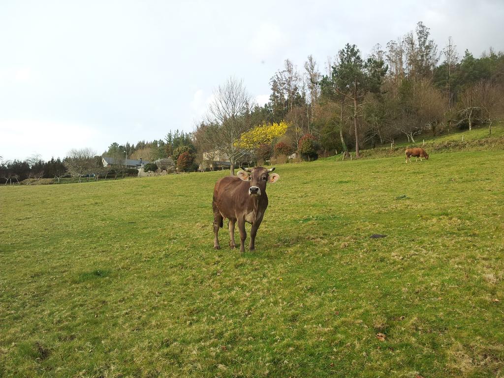 Casa Rural Grana Da Acea Monfero Buitenkant foto